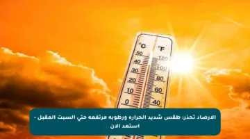 الأرصاد تحذر: طقس شديد الحرارة ورطوبة مرتفعة حتى السبت المقبل – استعد الآن